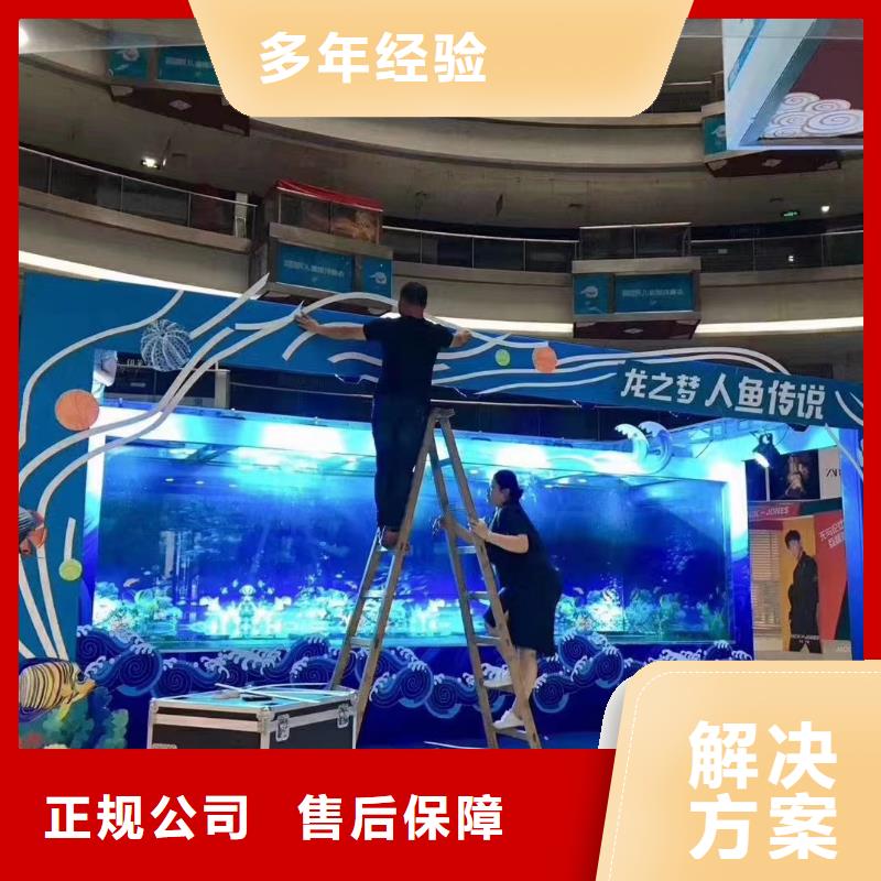 【海洋主题动物表演】_水族海洋展2024专业的团队