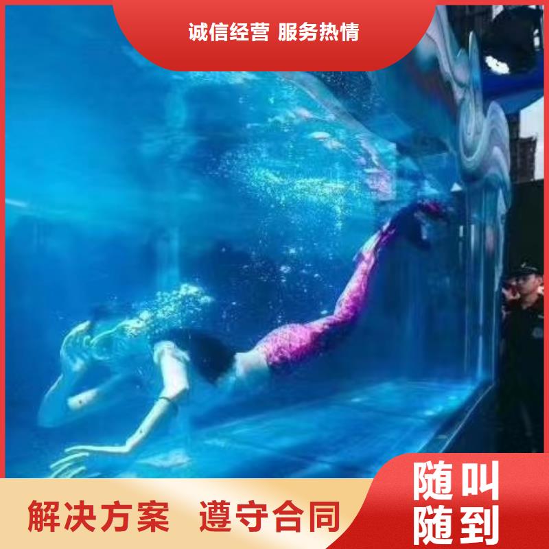 海洋主题动物表演【美人鱼表演】遵守合同