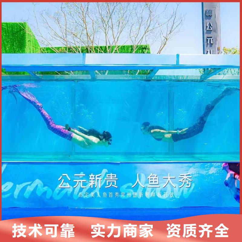 海洋主题动物表演马戏团表演快捷