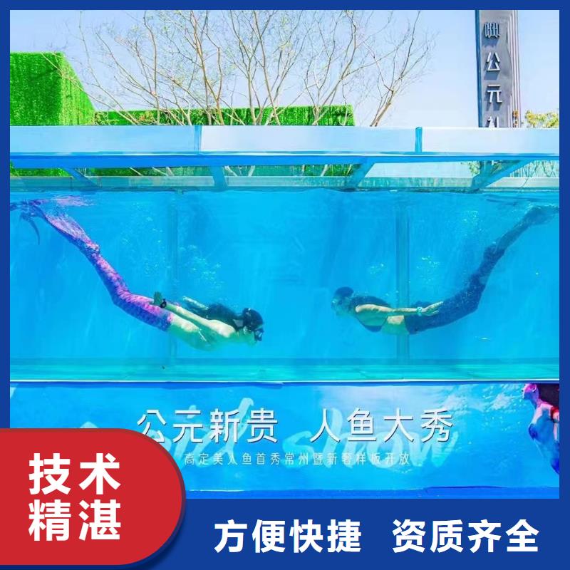 海洋主题动物表演-海狮表演租赁信誉保证