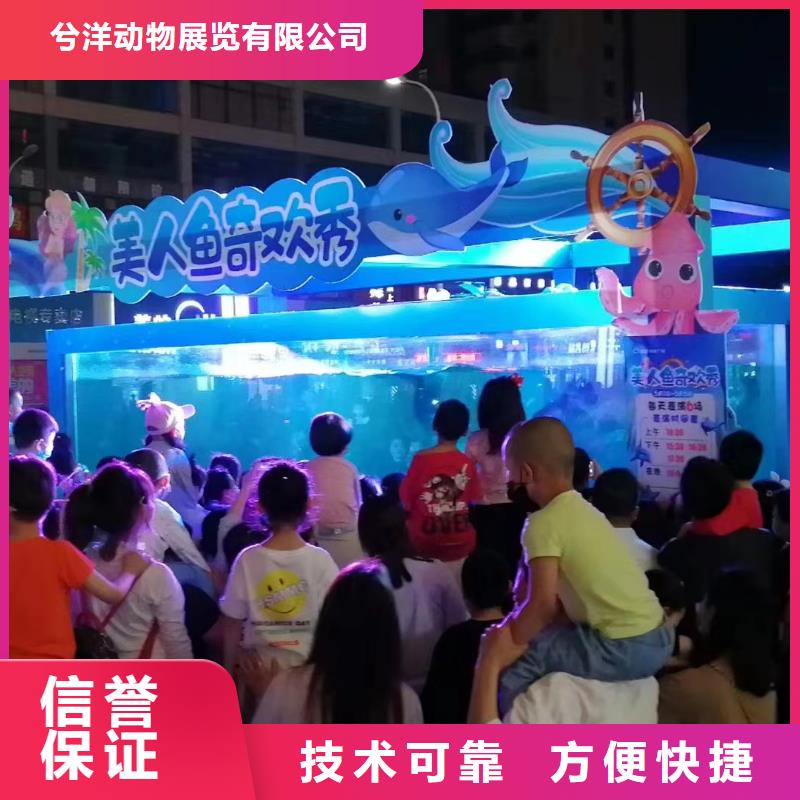 海洋主题动物表演鹦鹉表演一对一服务