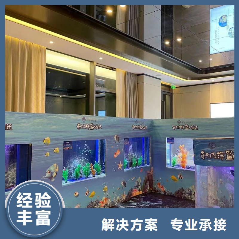 【海洋主题动物表演】美人鱼表演省钱省时