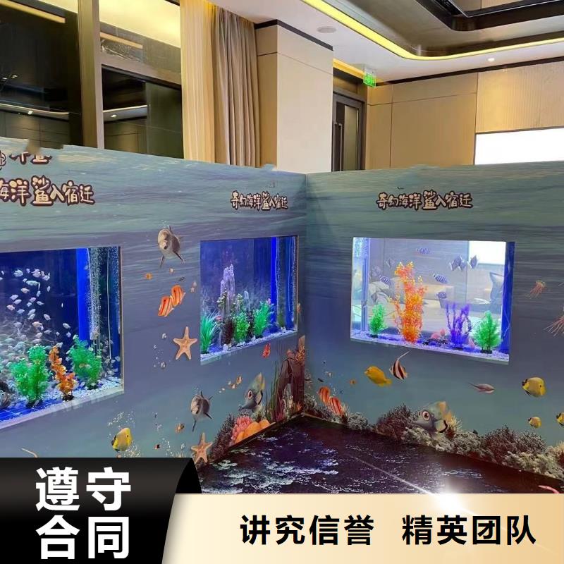 海洋主题动物表演_动物表演出租知名公司
