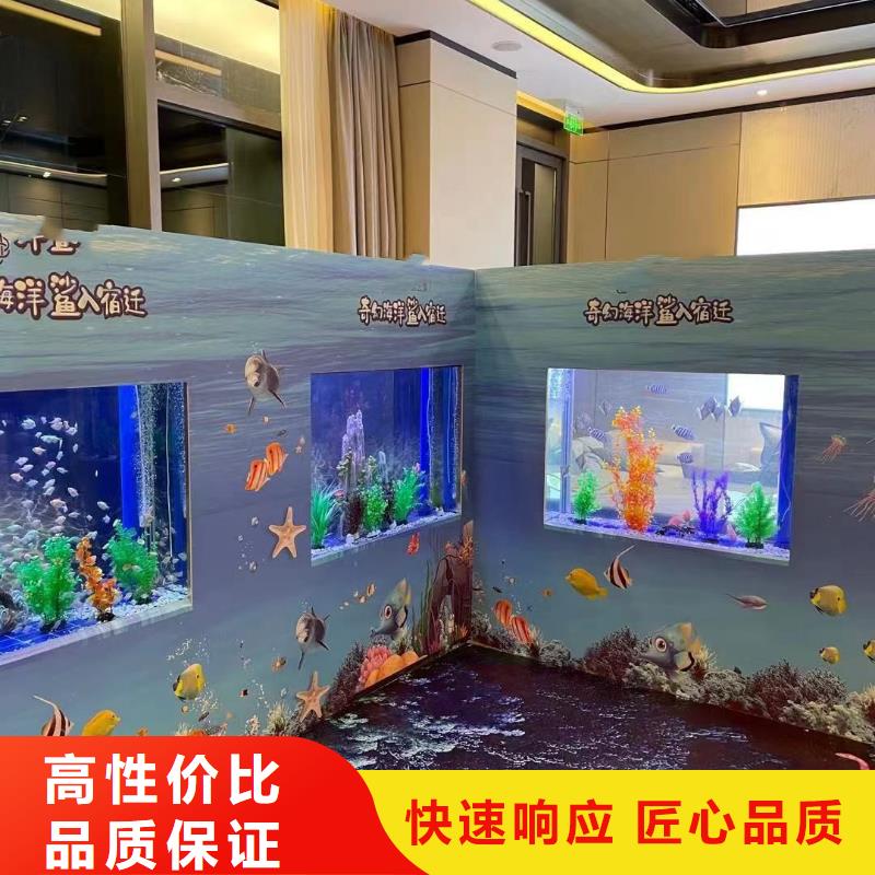 海洋主题动物表演-海狮表演出租案例丰富