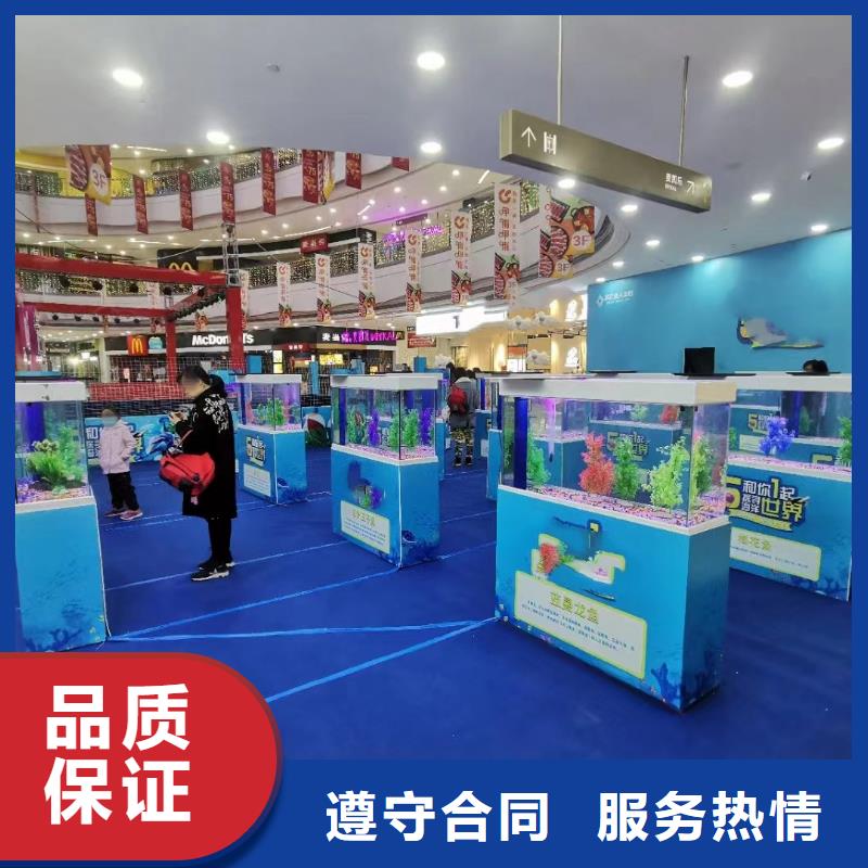 【海洋主题动物表演_马戏团表演效果满意为止】