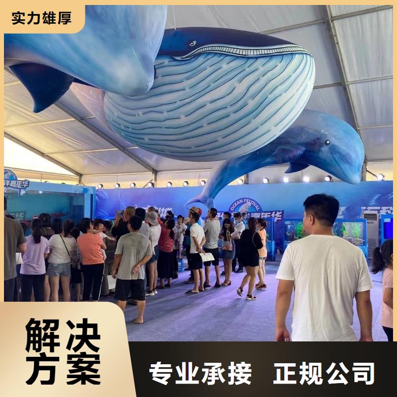 海洋主题动物表演【出租海狮表演】实力公司