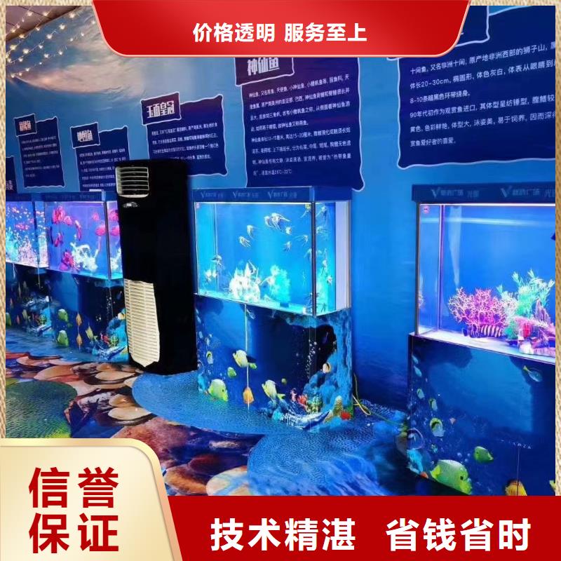 海洋主题动物表演企鹅出租精英团队