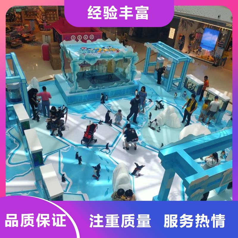 海洋主题动物表演【海狮表演】专业服务
