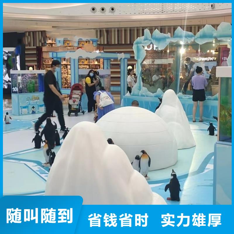 海洋主题动物表演房地产开盘庆典品质好