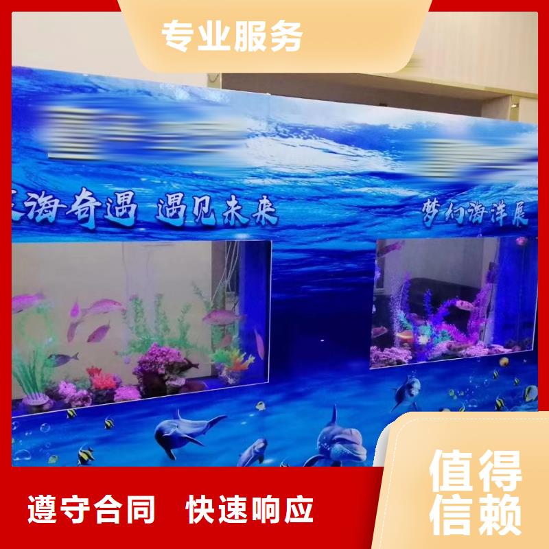 海洋主题动物表演-海狮表演出租案例丰富