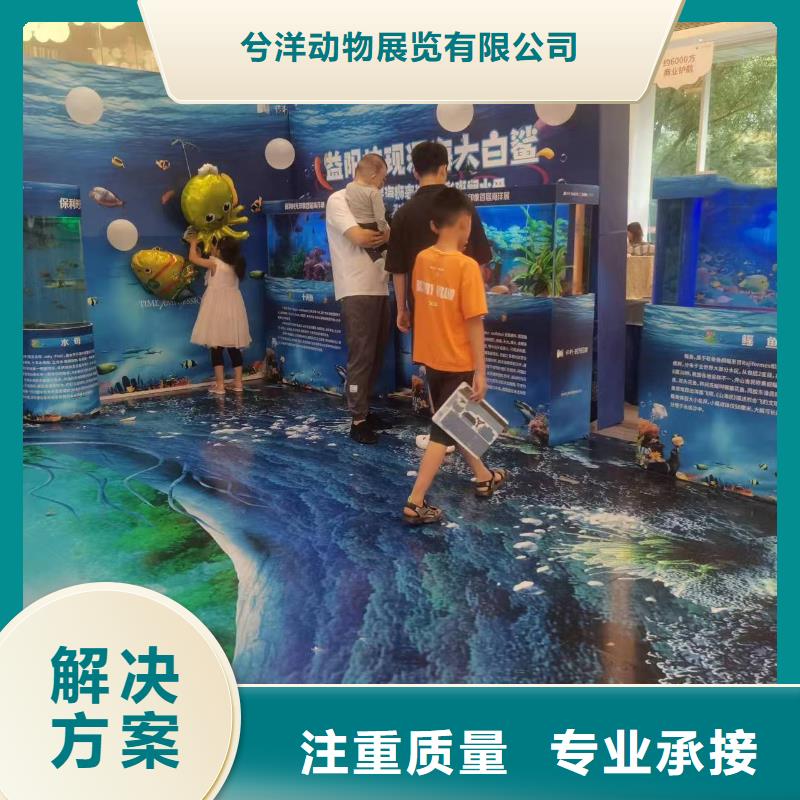 海洋主题动物表演景区杂技表演多年行业经验