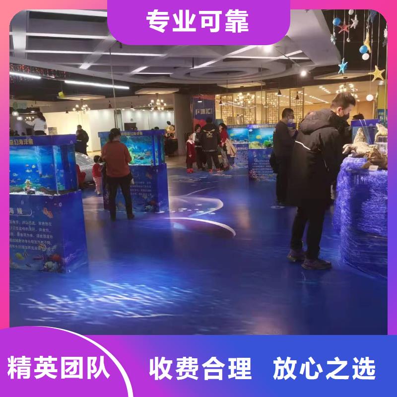 海洋主题动物表演房地产开盘庆典品质好