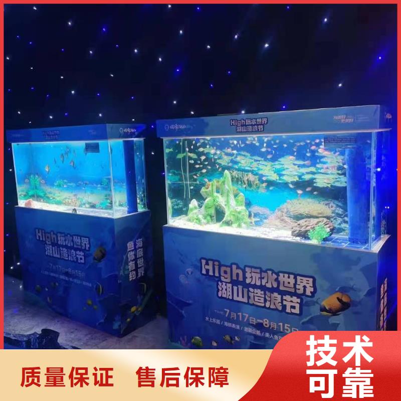 海洋主题动物表演羊驼出租技术成熟