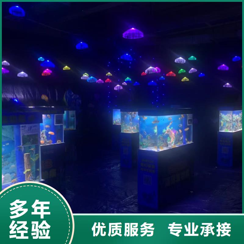 海洋主题动物表演出租海狮表演随叫随到