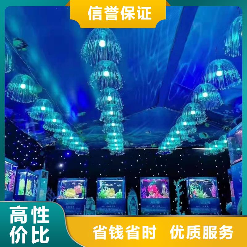 海洋主题动物表演海狮表演出租高性价比