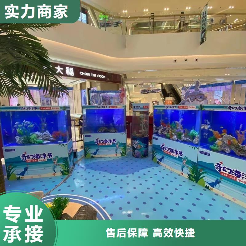 海洋主题动物表演,【出租表演鹦鹉】口碑公司