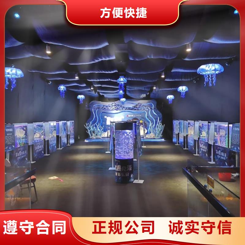 海洋主题动物表演【海狮演出】正规