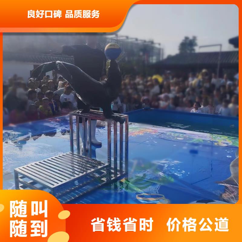 海洋主题动物表演_海洋展租赁有实力