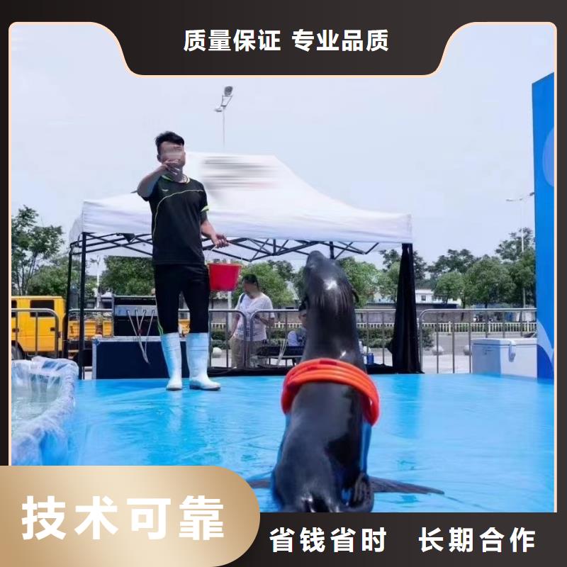 海洋主题动物表演【美人鱼表演】遵守合同
