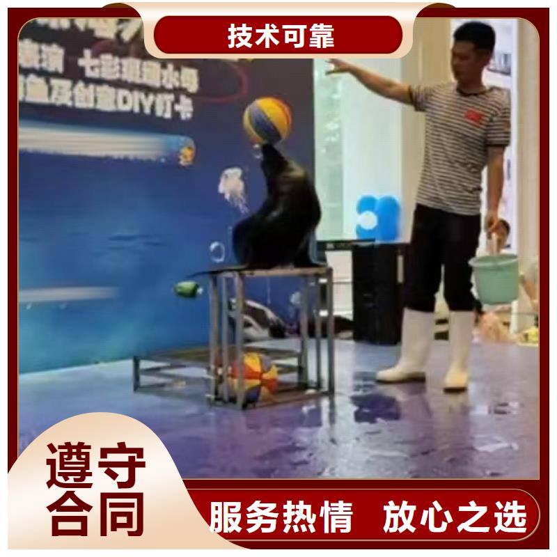 海洋主题动物表演_死轮表演正规公司