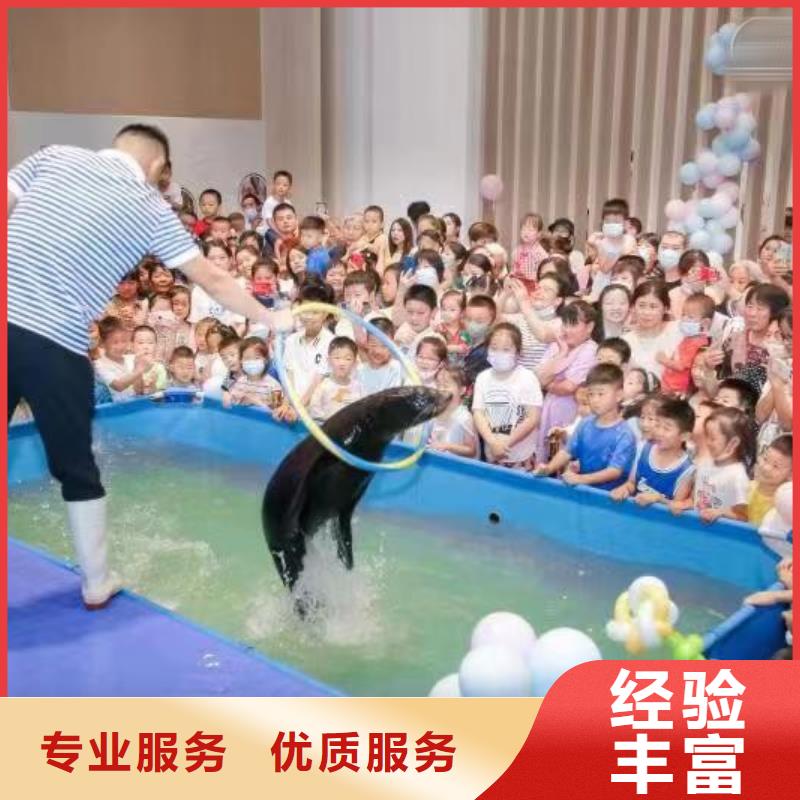 海洋主题动物表演羊驼出租技术可靠