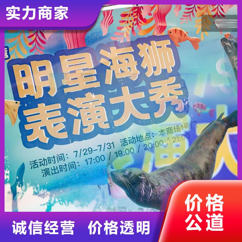 【海洋主题动物表演_企鹅出租表演价格公道】