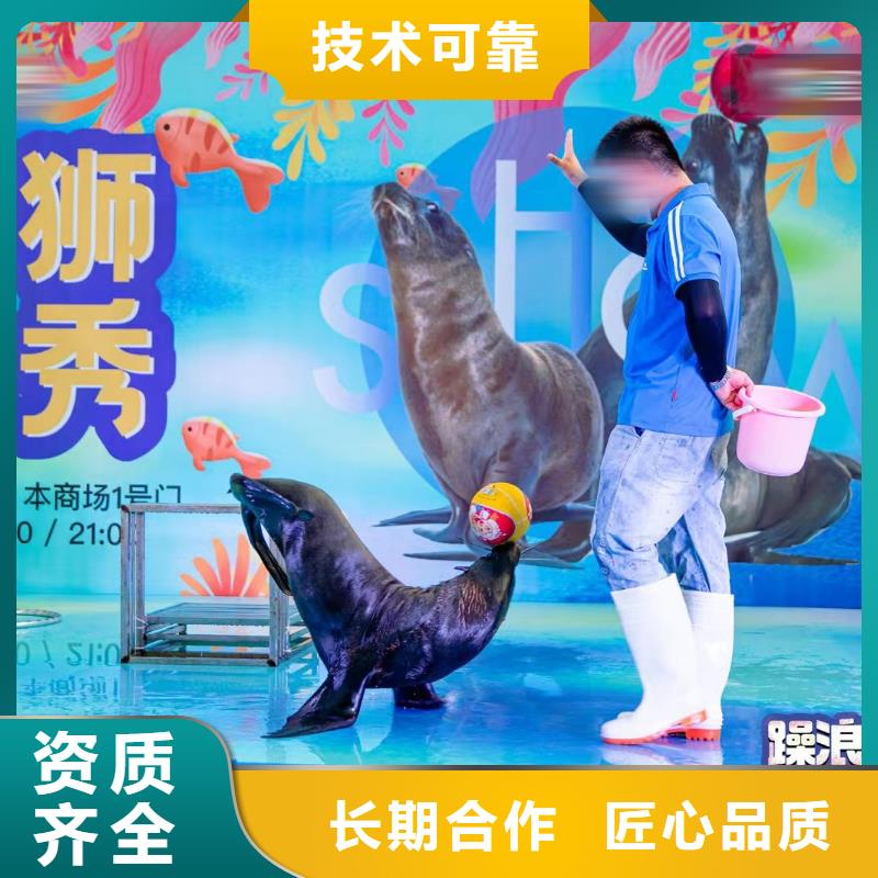 海洋主题动物表演_死轮表演正规公司