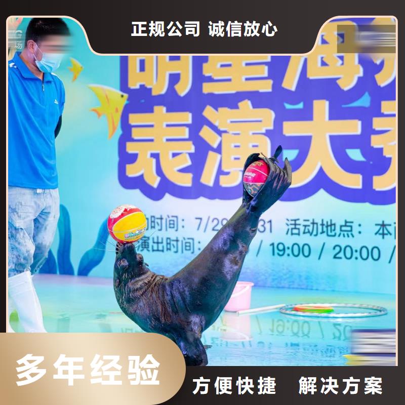 海洋主题动物表演羊驼出租团队