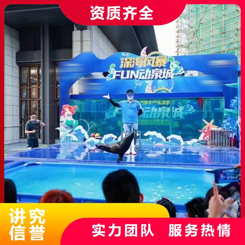 海洋主题动物表演【海狮演出】正规