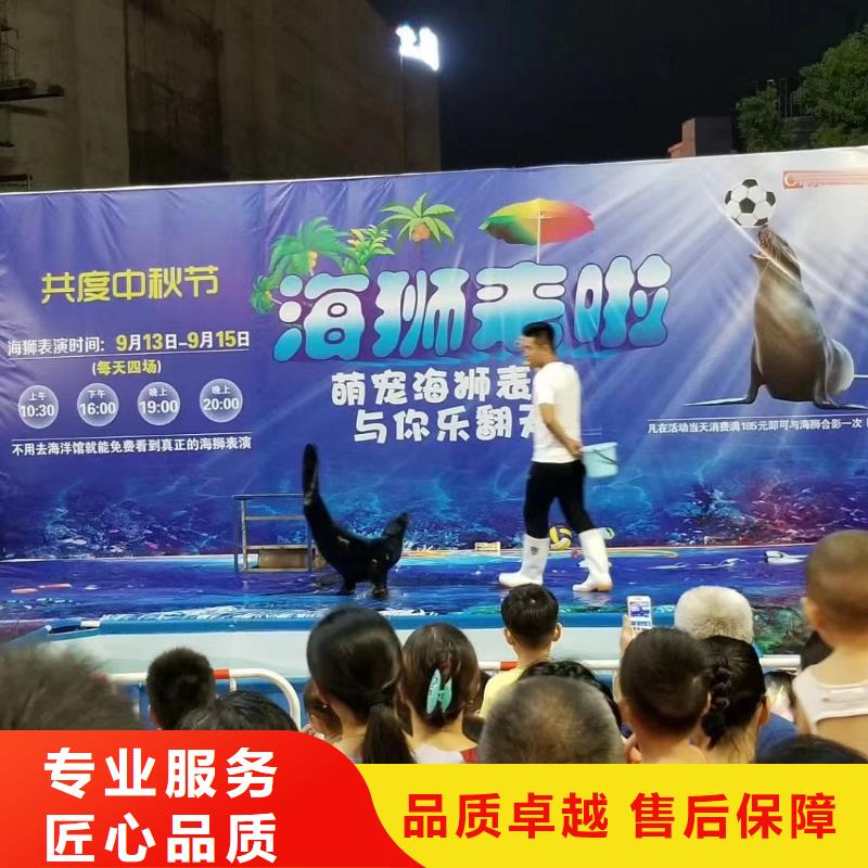 海洋主题动物表演【企鹅出租】多年经验
