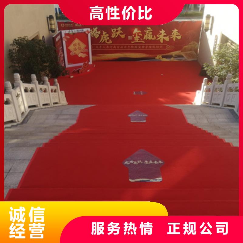 庆典活动投影设备出租精英团队