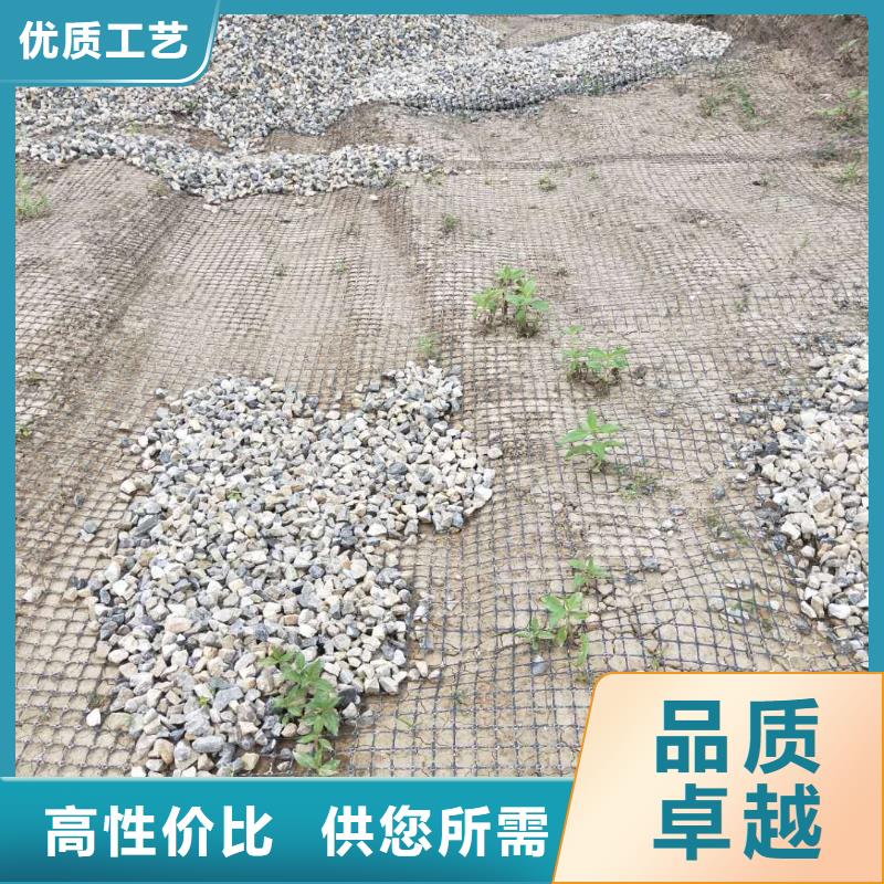 土工格栅\抗裂贴玻璃纤维土工格栅严谨工艺