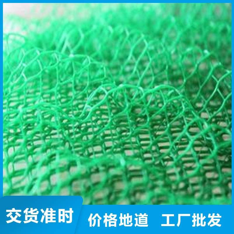 土工布【双向塑料土工格栅】讲信誉保质量