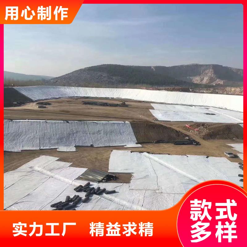 土工布双向塑料土工格栅源头工厂量大优惠