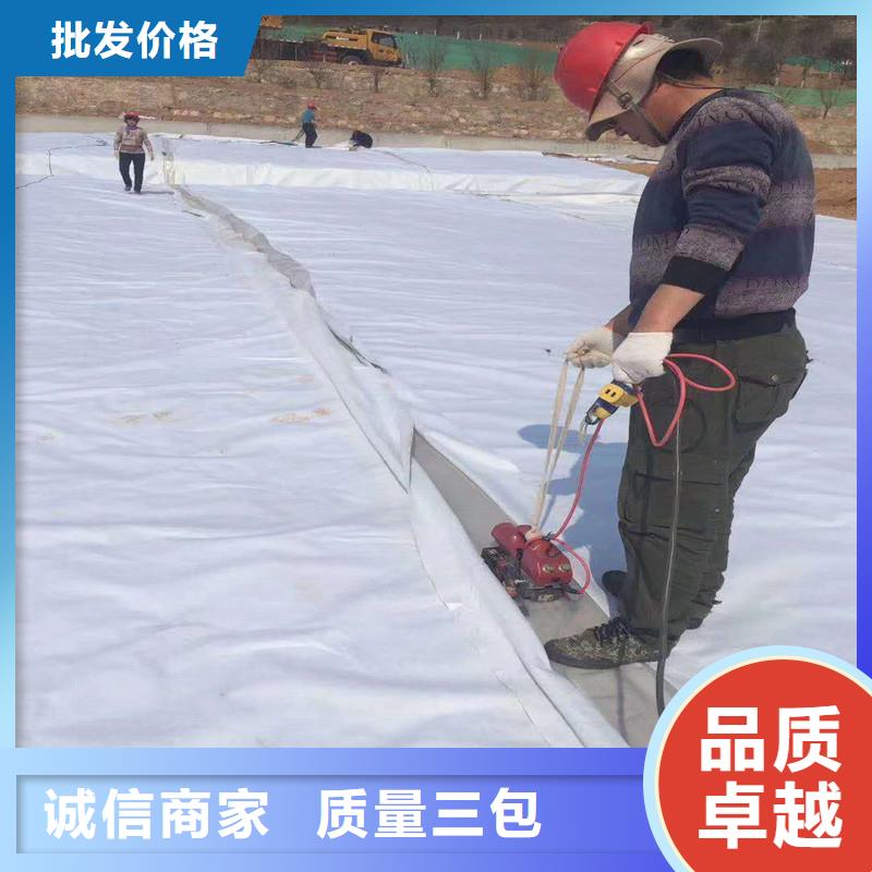 土工布聚丙烯长丝土工布真材实料