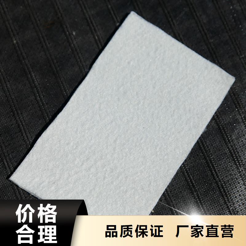 土工布_玻纤土工格栅自主研发