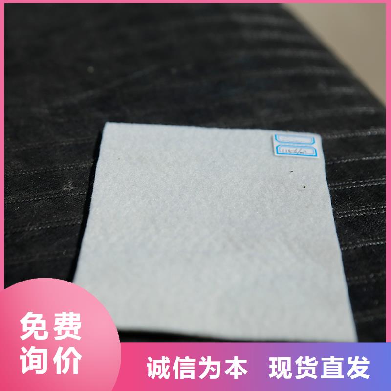 【土工布80KN玻纤格栅敢与同行比服务】