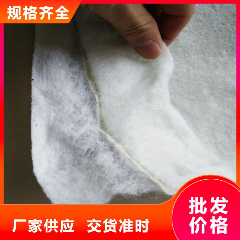 土工布-【网格布】精选货源