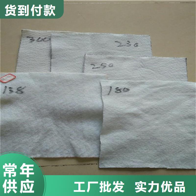 土工布聚丙烯长丝土工布真材实料