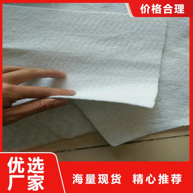 土工布_80KN玻纤格栅厂家供应