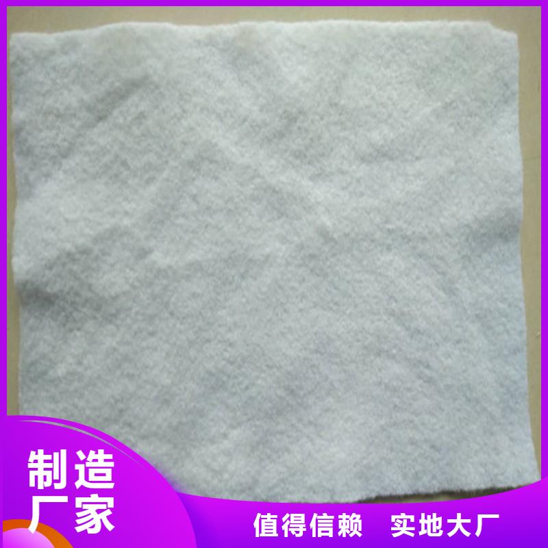 土工布玻璃纤维土工格栅追求细节品质
