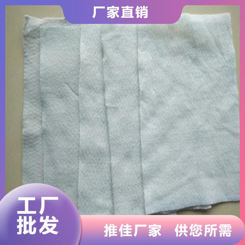 土工布现货直发