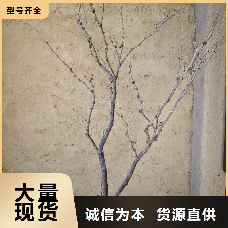 定制施工夯土漆品质保证