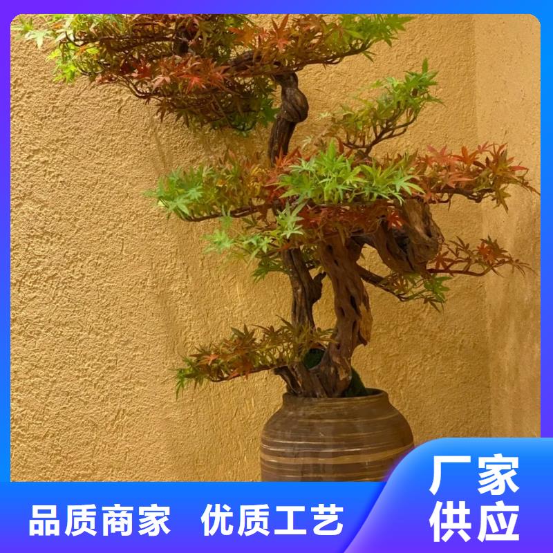 仿夯土外墙漆多少钱#农家小院#乡村建设#民宿改造