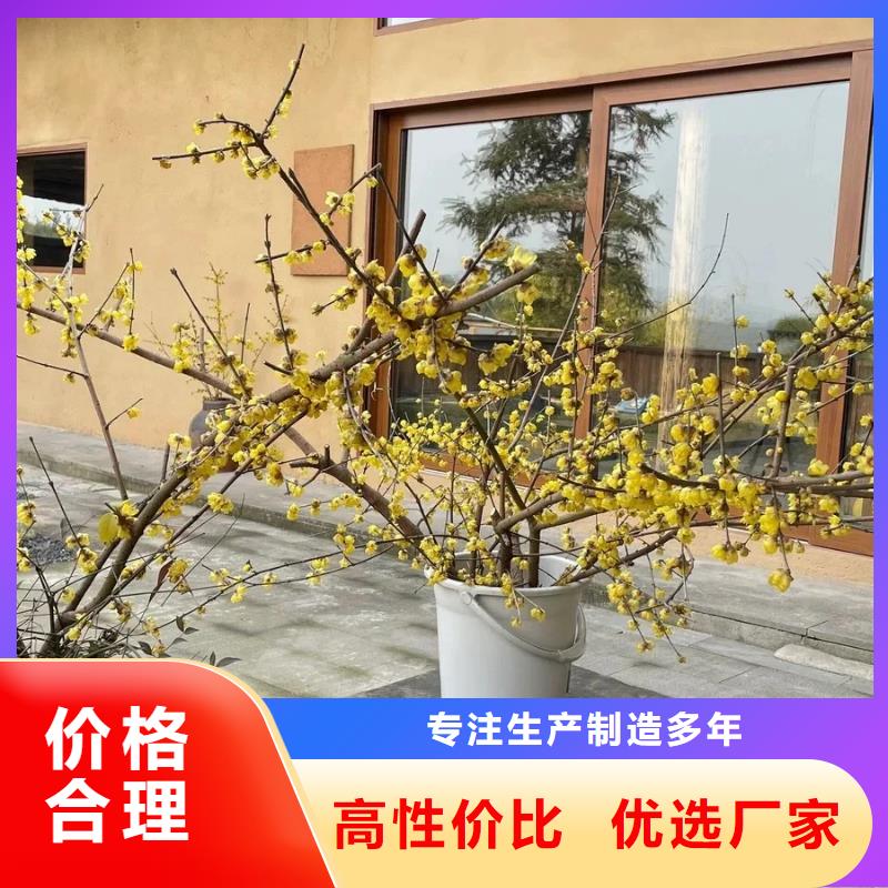 源头厂家稻壳漆质优价廉