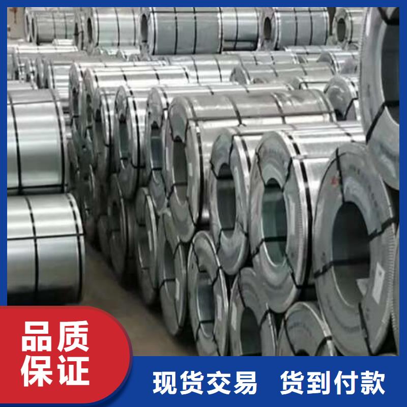 冷轧板卷_【高磁硅钢片】品质值得信赖