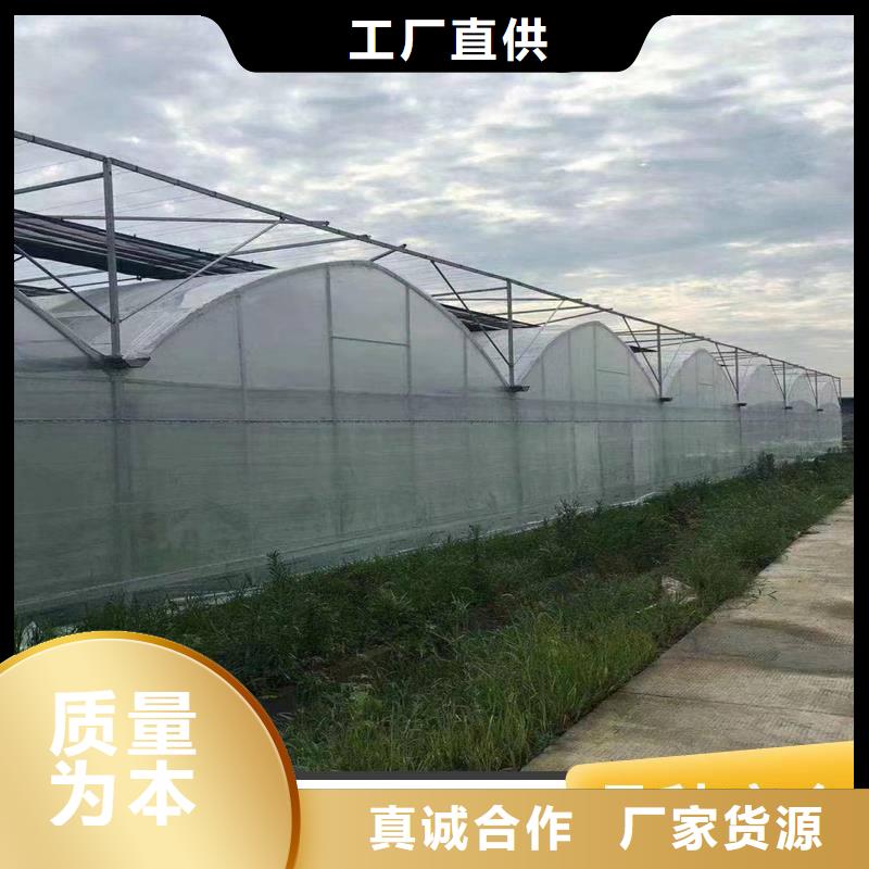 陕西省同行低价《金荣圣》蔬菜大棚厂品牌厂家