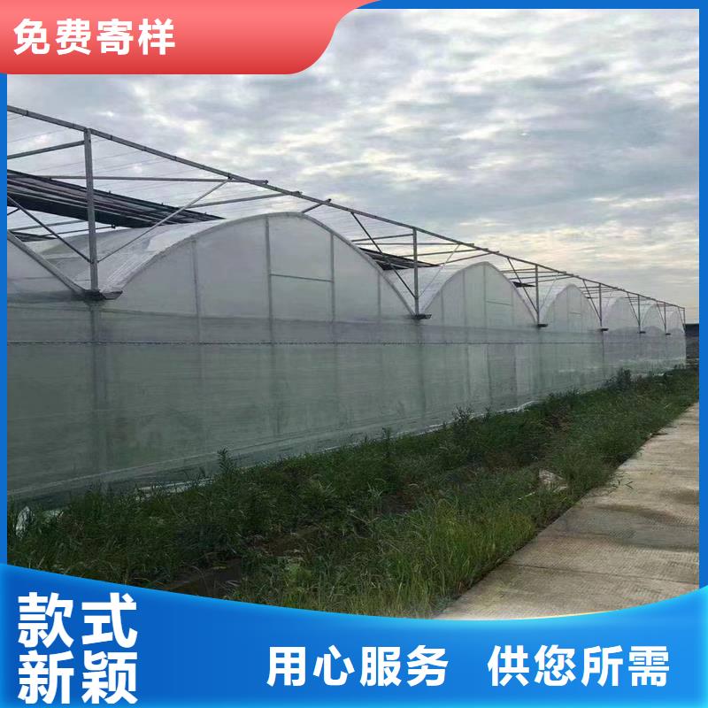 西藏省采购《金荣圣》县蓝莓杨梅水果大棚质量优