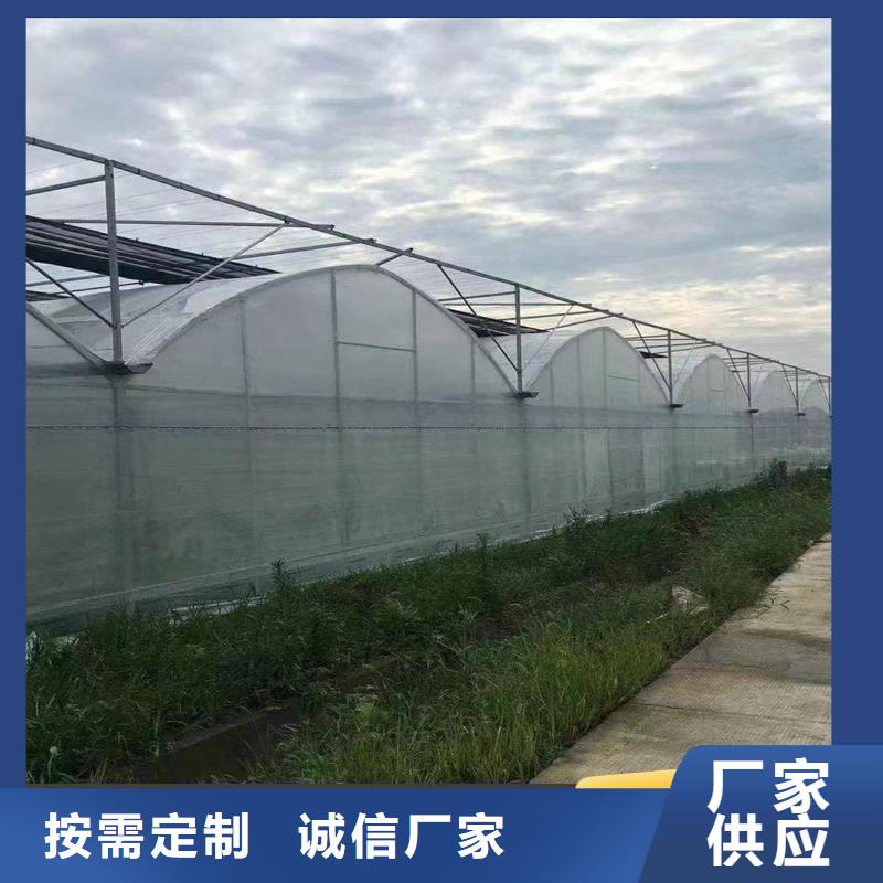 甘肃省通过国家检测{金荣圣}县蓝莓杨梅水果大棚源头厂家