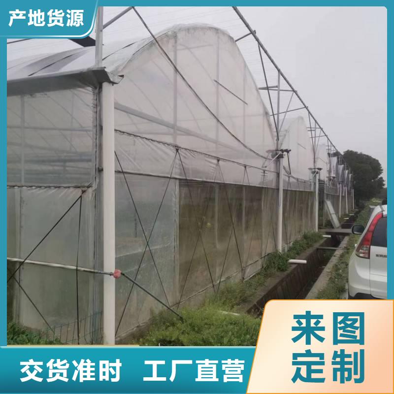 广东省品质值得信赖(金荣圣)县蔬菜大棚厂实体大厂